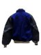 Jacket - Blue w/Blue Sleeves - Back View